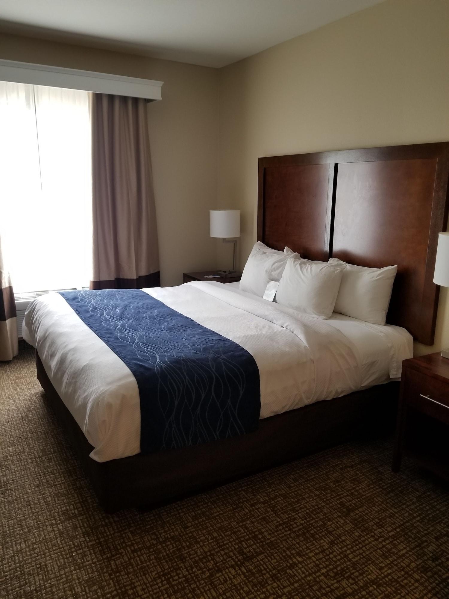 Sonesta Essential - Baton Rouge Airport Hotel Luaran gambar